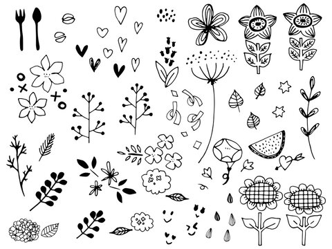 かわいい夏の植物と小物の手書きラフセット
