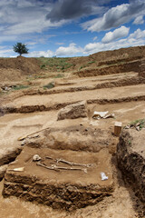 Archaeological excavations. Ancient grave with Human remains. Excavation of human skeleton on an archaeological site.  Unearthed bones and skull from a ground old tomb. - 432978488