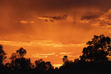 Orange sky after sunset below with tree shadows.