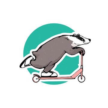 Cartoon badger on a kick scooter, vector art
