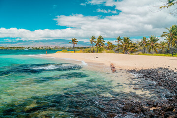 Hawaii beach travel landscape. Summer vacation hero view of woman tourist walking on secluded bay...