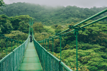 Fototapeta na wymiar Costa Rica travel hiking destination in Central America. Forest of Parque Nacional Corcovado. Suspended bridge in rainforest.