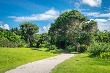 Tropical park on Okinawa island in Japan on a sunny day