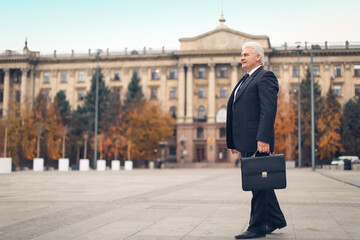 Senior businessman with briefcase outdoors