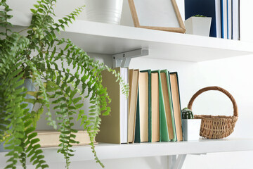 Shelf with books and plant hanging on light wall, closeup