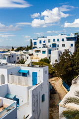 Traditional houses, Roof top terraces. White Madina in Sidi Bou Said near Tunis.  Tunisia,  Nord Africa