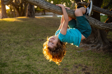 Childhood leisure and kids activities concept. Child hanging upside down on tree and having fun in summer park. Happy boy enjoying summer day in a garden.