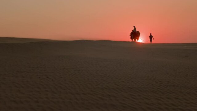 Sunset In The Desert. Man Leads Two Camels. Man Is Sitting On One Of Them.