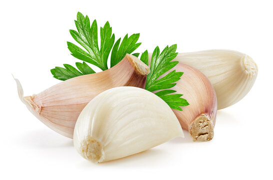 Ripe garlic with leaves. Organic garlic isolated on white background. Taste garlic with leaf. Garlic With clipping path