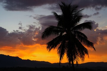 Obraz premium trees at sunset