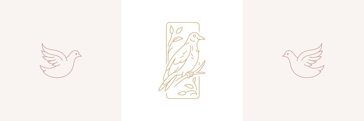 Bird on branch and flight dove in boho linear style vector illustrations set.
