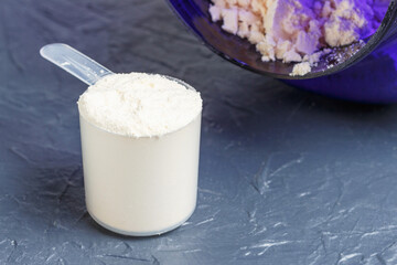 Pprotein powder in a scoop on gray background close-up.