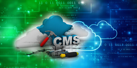 3d rendering cms cloud with wooden hammer
