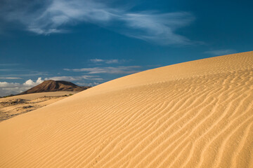Fototapeta na wymiar typical landscape of Fuerteventura, sand dunes and volcanoes, Canary Islands, Spain
