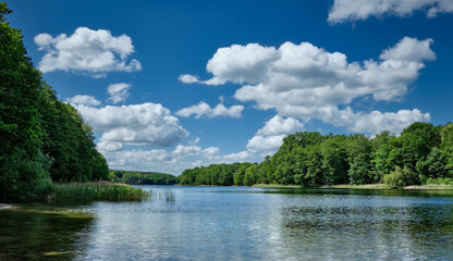 Blick vom Nordufer auf den Berliner Grunewaldsee