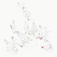 set of  Hand drawn hen