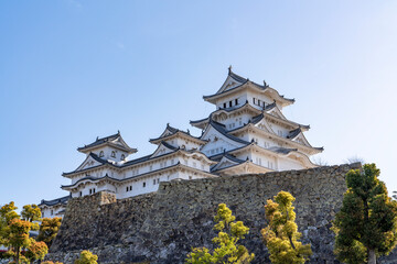 Naklejka premium [兵庫県]春の姫路城天守閣と桜