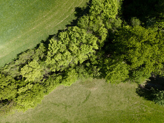Fototapeta na wymiar aerial drone flight photo of green hills, meadows and fresh forest in Lower Austria at the edge of Vienna Woods on a sunny day