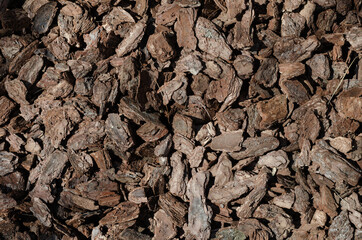 Shredded pine bark for mulching.