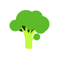 Green broccoli isolated on white background vector icon
