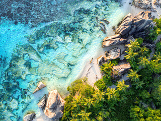 Seychellenstrand von oben