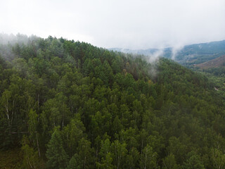 Fototapeta na wymiar Foggy evergreen fir forest on a hilltop among the mountains of the National Park of the Republic of Bashkortostan on Lake Bannoye