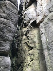 ravine in the mountains