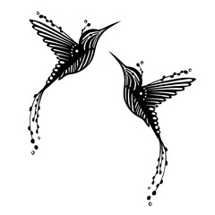 Vector  bird colibri illustration. Hummingbird, plotter, scrapbooking.