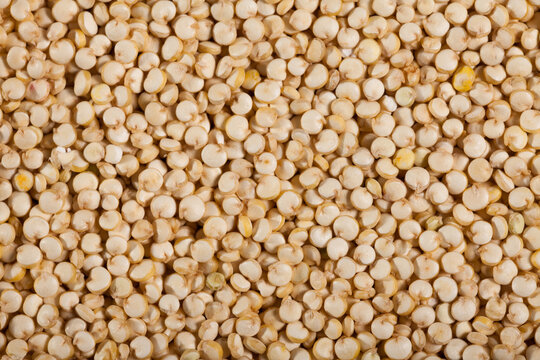 Quinoa seed pile as background. High quality photo