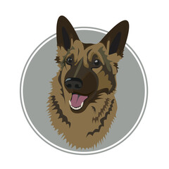 animal, art, brown, cartoon, character, design, dog, doggy, fur, graphic, happy, head, illustration, image, nature, pet, pets, puppy, shepherd, vector, wild