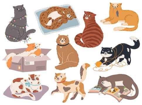 Cute cats. Funny kittens sleep, play and sit, catch mouse. Kitty in various pose, happy and sad cat. Cartoon vector pets isolated characters. Feline in different positions with ball of thread