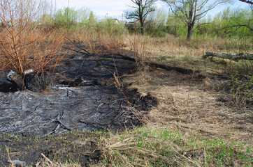 people burning old dry grass