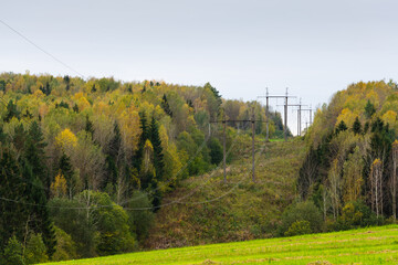 Power lines in the autumn forest