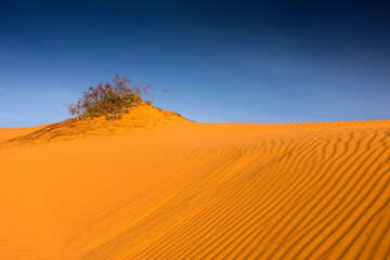 Fototapeta na wymiar Red sand dunes of Mui Ne, Vietnam,asia