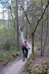Obraz premium man on mountain bike in spring forest near utrecht in holland