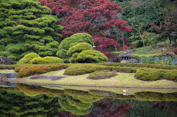 Autumn leaves scenery with Japanese garden in Japan