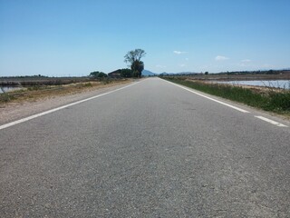 conduciendo por delta del Ebro, viajando por tierras del Ebro, naturaleza, horizonte, azul, camino, campo, me gusta conducir, verano, viaje, calle, verde, árbol, césped, arrozales del Delta del Ebro