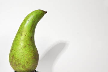 pear conference, beautifully curved, with short stalk, green peel with many gray-brown spots. drops...
