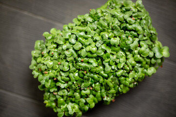 transparent container of microgreens of radish on wooden natural dark background. Sprouting Microgreens. Seed Germination at home, dense green leaves. Vegan and healthy eating concept. Selective focus