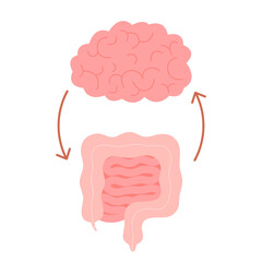 Connection of cute healthy happy brain and intestine gut. Relation health of human brain and gut, second brain. Unity of mental and digestive. Vector flat cartoon illustration