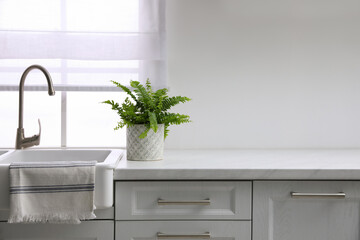Beautiful green fern on white countertop near sink in kitchen. Space for text