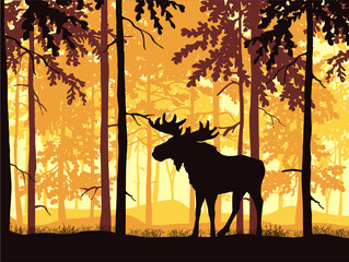 Moose with antlers posing, forest background, silhouettes of trees. Magical misty landscape. Black, oramge and yellow Illustration.