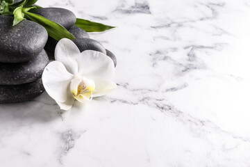 Spa stones, beautiful orchid flower and bamboo sprout on white marble table, space for text