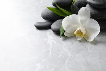 Fototapeta na wymiar Spa stones, beautiful orchid flower and bamboo sprout on light grey table. Space for text