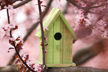 Green bird house on tree branch outdoors