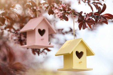 Bird houses with heart shaped holes hanging from tree outdoors