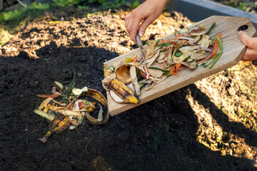 throwing food leftovers in garden compost pile. recycling organic kitchen waste