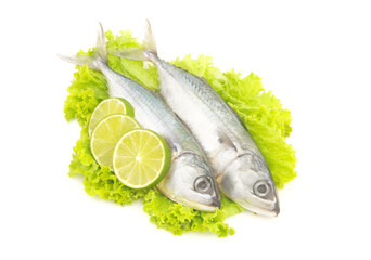 Mackerel fish on salad leaves with sliced lime isolated on white background. 