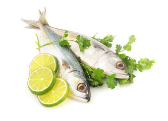Two short mackerels with parsley and lemon isolated on white background. 
