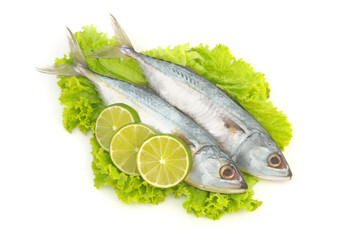 Short mackerels on salad leaves with lemon isolated on white background. 